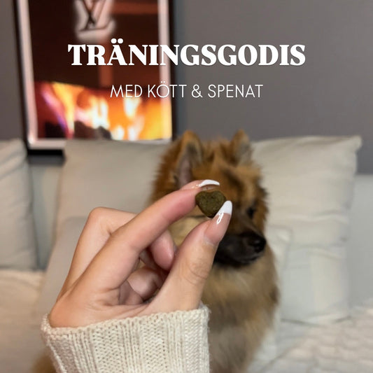 Träningsgodis - Kött & Spenat