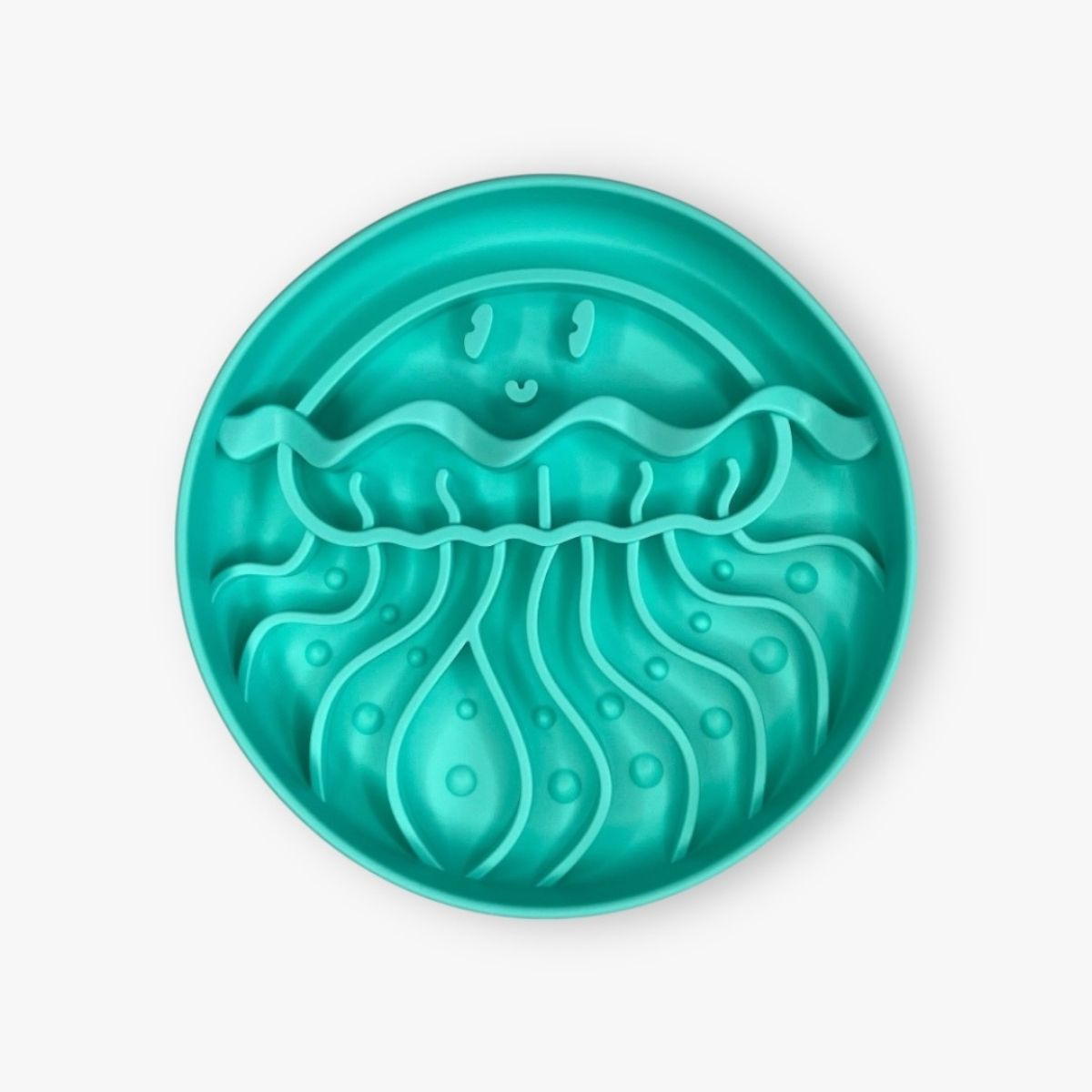 Jellies - Caribbean | Slow Feeder