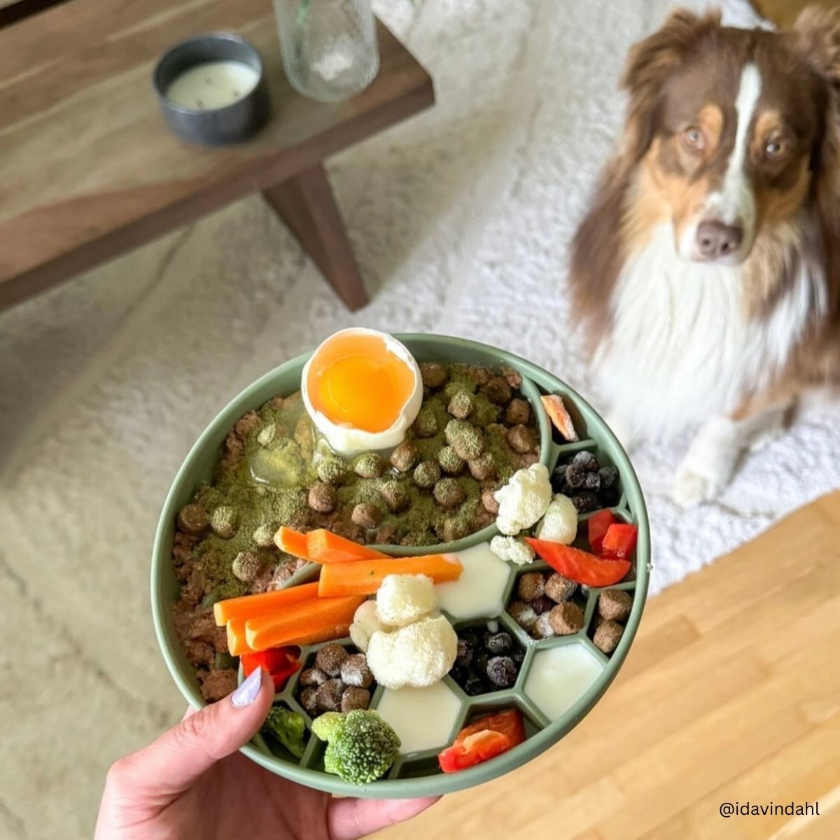 Finn - Sage Green | Slow Feeder