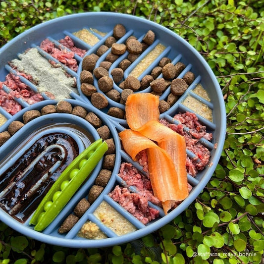 Lucky - Grey | Slow Feeder