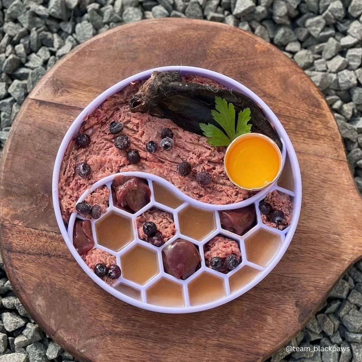 Finn - Lavender | Slow Feeder