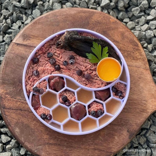 Finn - Lavender | Slow Feeder