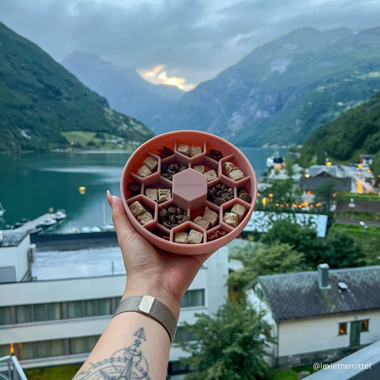 HoneyComb S - Bubblegum | Slow Feeder