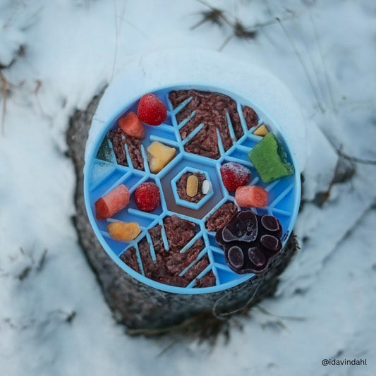 Frozen - Ice Blue | Slow Feeder