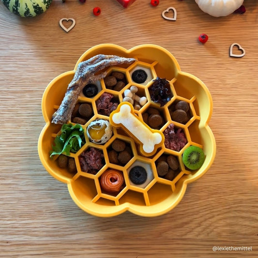 Blossom - Yolk Yellow | Slow Feeder