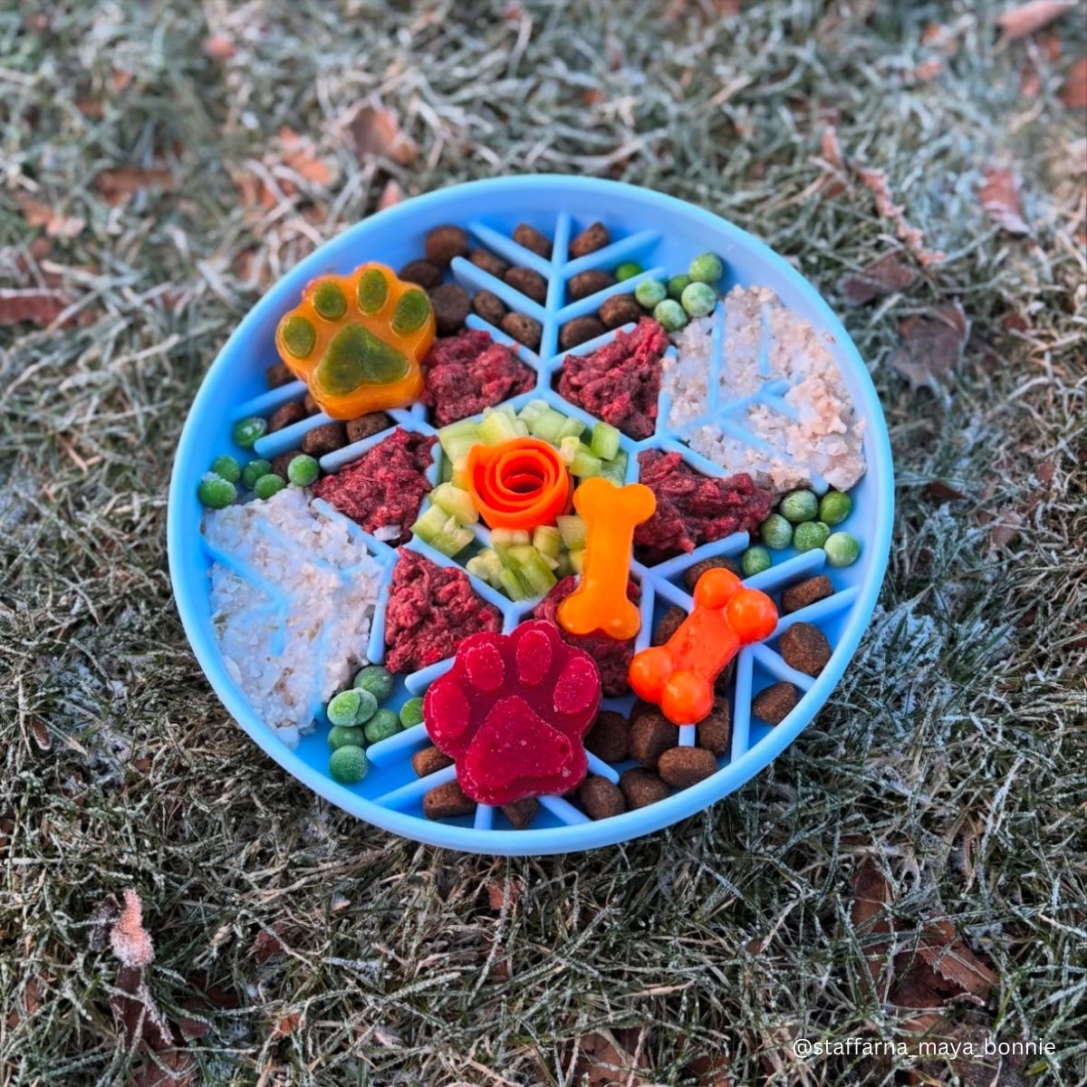 Frozen - Ice Blue | Slow Feeder