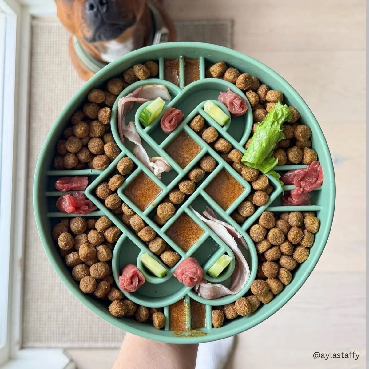 Love Knot - Matcha | Slow Feeder